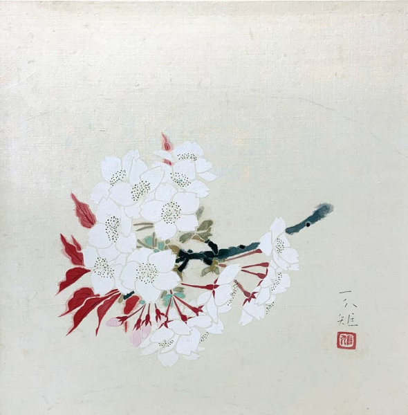 秋野不矩　「桜」　35.3×35.3 cm
