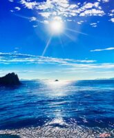 青木成実　「光～願いを託して～」　F12