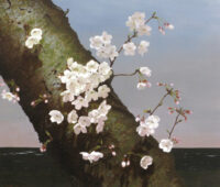 「丹下の桜」　F10