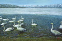 「湖に鳥」　	12M
