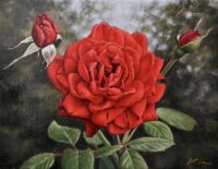 三浦賢一 「庭の薔薇達」 F0