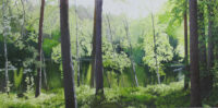 「たまゆら宿る妖精の森」　	450×900mm