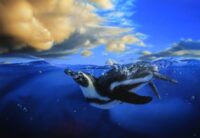 鈴木誠郷　Freedom　M20