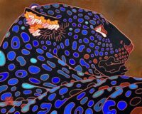 鵜飼義丈　「算賀」　F3 　岩絵具