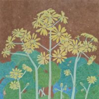 横山芳実　「石蕗」　S6