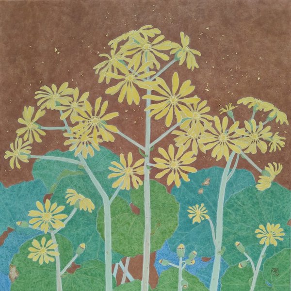 横山芳実 「石蕗」 S6
