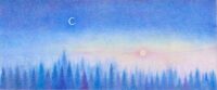 横山智子　「月夜の森」（『月夜の森の梟』朝日新聞出版 表紙）　アクリル、色鉛筆、和紙 19.5×47cm